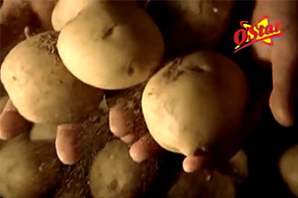 ORION ostar